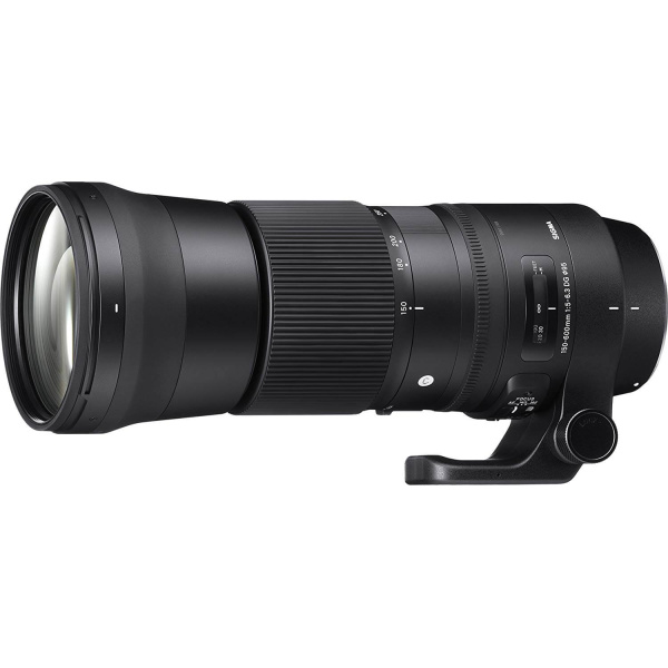 Alquiler sigma contemporary 150-600 Canon Madrid Visualrent